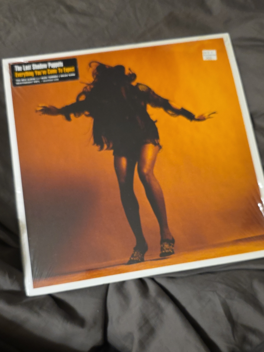 The Last Shadow Puppets Everything You've Come To Expect Vinyl LP Record